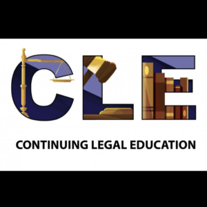 Making Victims Rights Meaningful: Advocating for Victims in Criminal Courts